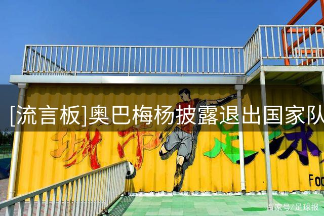 [流言板]奥巴梅杨披露退出国家队原因：我带伤作战，官员却在抹黑我